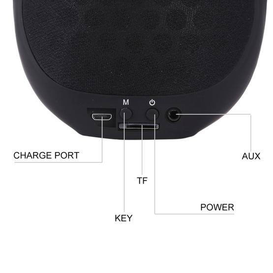AEROBULL Bulldog Fashion Portable Bluetooth Wireless Stereo Speaker(Black)